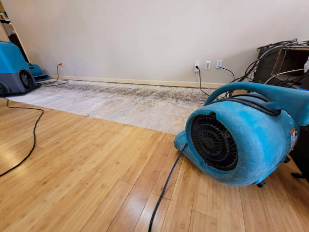 Professional Flood Damage Cleanup technician working in Sapphire, NC